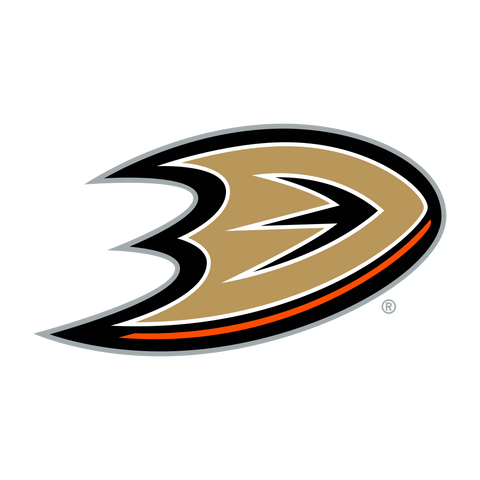  NHL Anaheim Ducks Logo 