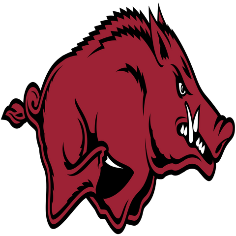  Southeastern Conference Arkansas Razorbacks Logo 