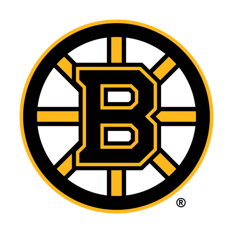  NHL Boston Bruins Logo 