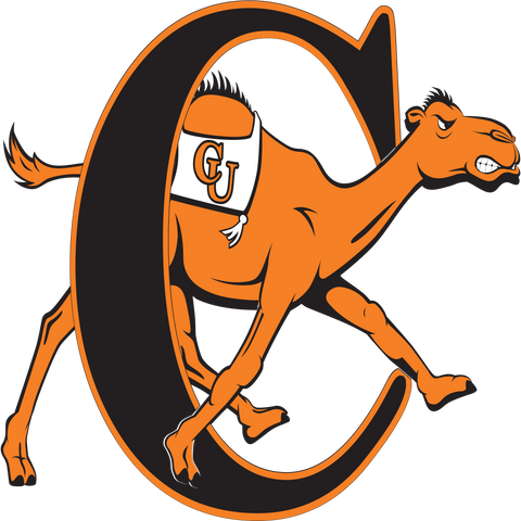 Big South Conference Campbell Fighting Camels Logo 
