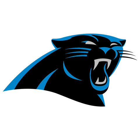  NFL Carolina Panthers Logo 