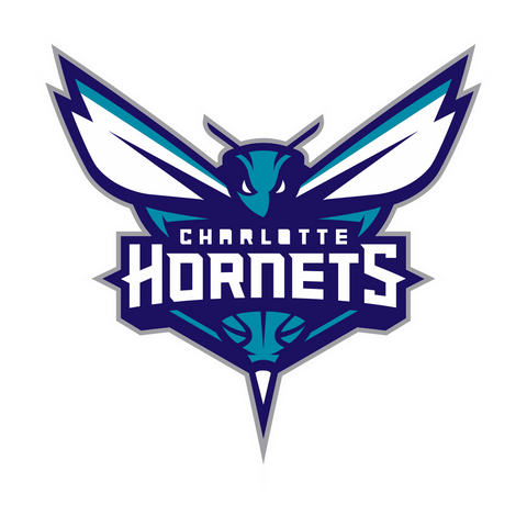  NBA Charlotte Hornets Logo 