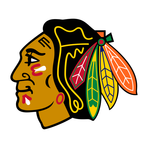  NHL Chicago Blackhawks Logo 