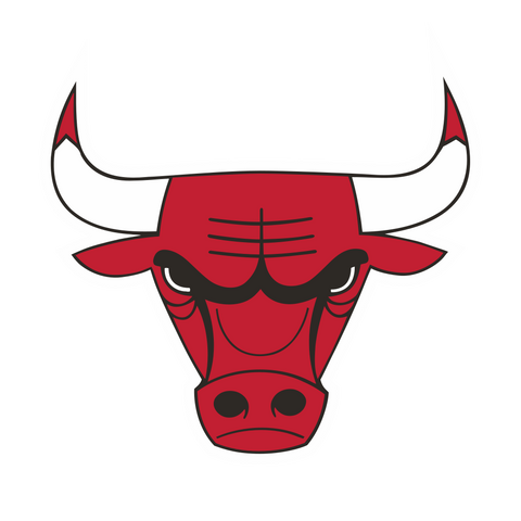  NBA Chicago Bulls Logo 