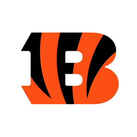  NFL Cincinnati Bengals Logo 