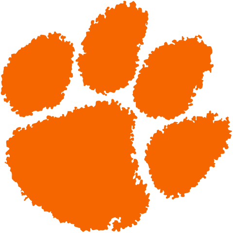  Atlantic Coast Conference Clemson Tigers Logo 