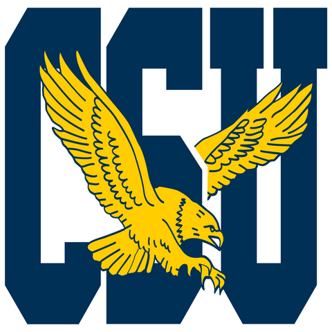  Mid-Eastern Athletic Conference Coppin State Eagles Logo 