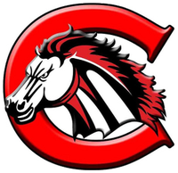  Creekview Mustangs HighSchool-Texas Dallas logo 