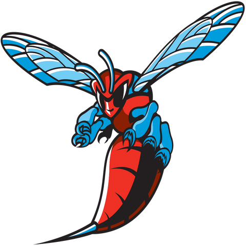  Mid-Eastern Athletic Conference Delaware State Hornets Logo 