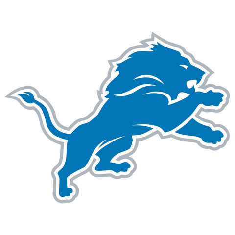  NFL Detroit Lions Logo 