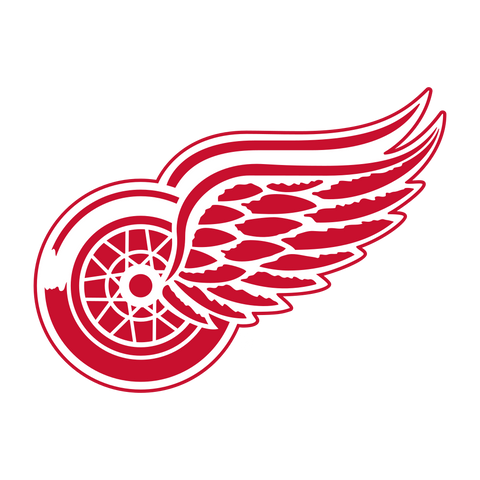 NHL Detroit Red Wings Logo 