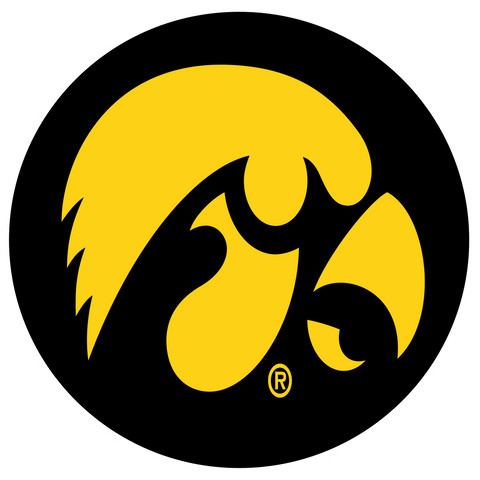  Big Ten Conference Iowa Hawkeyes Logo 