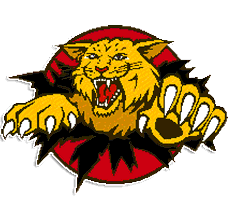 Lake Highlands Wildcats HighSchool-Texas Dallas logo 