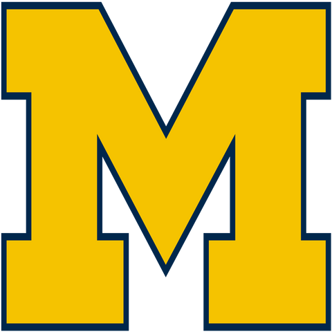  Big Ten Conference Michigan Wolverines Logo 