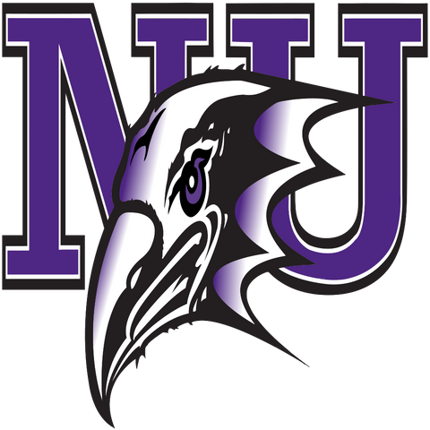 Metro Atlantic Athletic Conference Niagara Purple Eagles Logo 