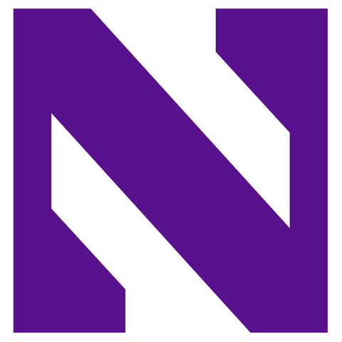 Big Ten Conference Northwestern Wildcats Logo 