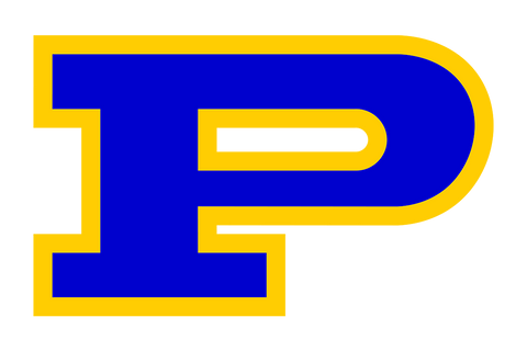  Pflugerville Panthers HighSchool-Texas Austin logo 