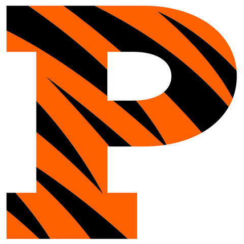  Ivy League Princeton Tigers Logo 