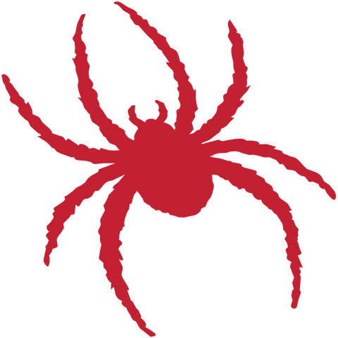  Atlantic 10 Conference Richmond Spiders Logo 