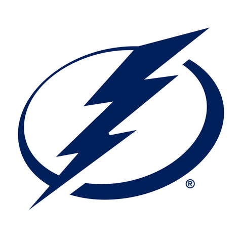  NHL Tampa Bay Lightning Logo 
