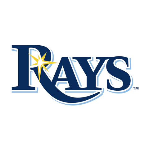  MLB Tampa Bay Rays Logo 