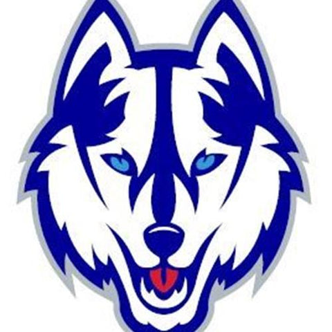  Westbury Huskies HighSchool-Texas Houston-ISD logo 