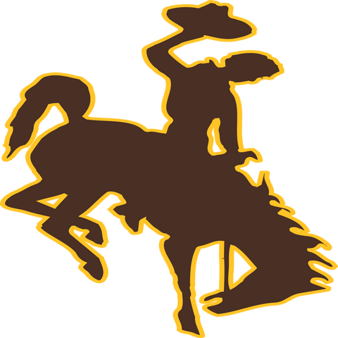  Mountain West Conference Wyoming Cowboys and Cowgirls Logo 