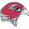  Stevens Falcons HighSchool-Texas San Antonio logo 