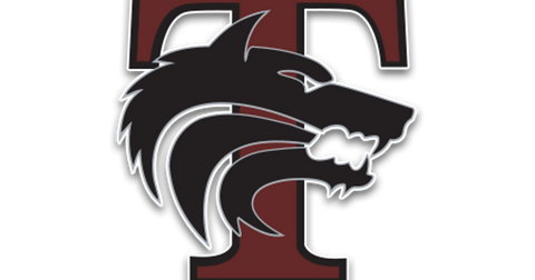 Mansfield Timberview Wolfs HighSchool-Texas Dallas logo 