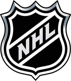 NHL logo to represent licensed game day NHL products-Hurricanes-Blue Jackets-Devils-Stars-Islanders-Rangers-Flyers-Penguins-Capitals-Bruins-Sabres-Red Wings-Panthers-Lightening-Blackhawks-Avalanche-Wild-Predators-Blues-Ducks-Golden Knights-Flames-Sharks